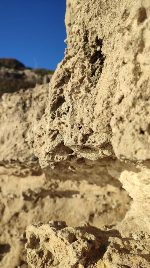 Fantastic 4 Cyprus First Line Beachfront Boghaz Exterior photo