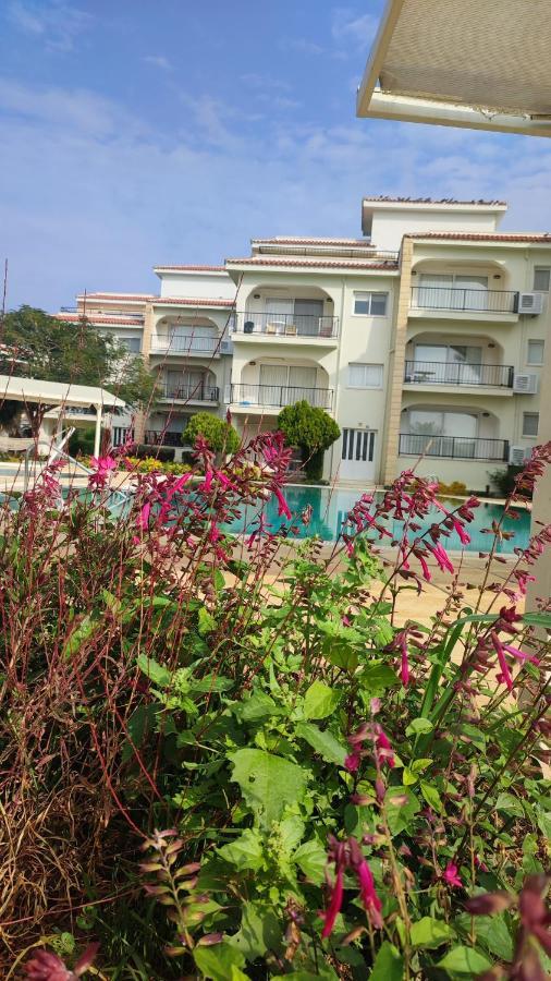Fantastic 4 Cyprus First Line Beachfront Boghaz Exterior photo